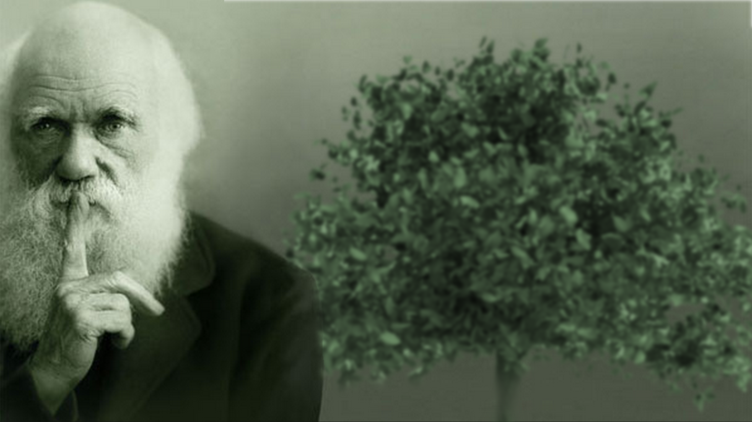 Darwin y un árbol